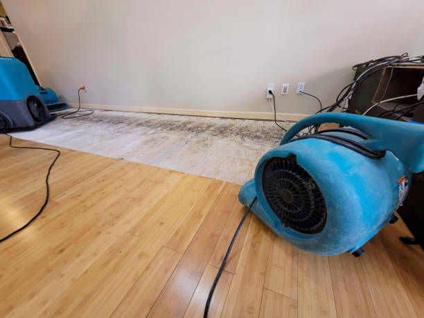 Professional Water Removal technician working in Lester, AL